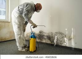 Reliable Lawndale, CA Mold Removal & Remediation Solutions